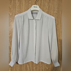 Everlane Pale Very Light Gray Women's 100% Silk Button-Down Blouse Size 00